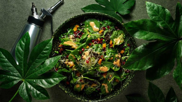 Green salad with pomegranate dressing